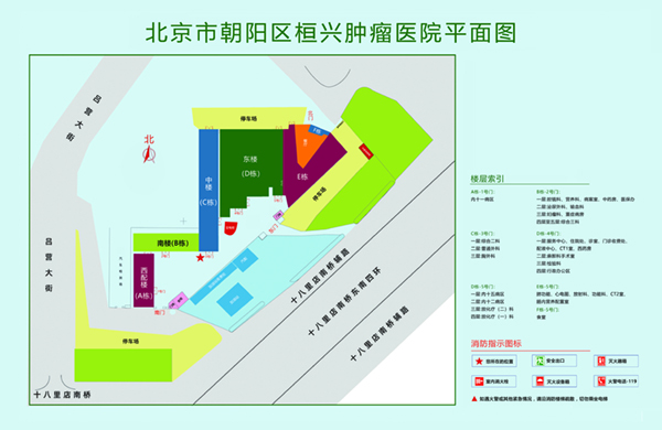 日逼逼北京市朝阳区桓兴肿瘤医院平面图